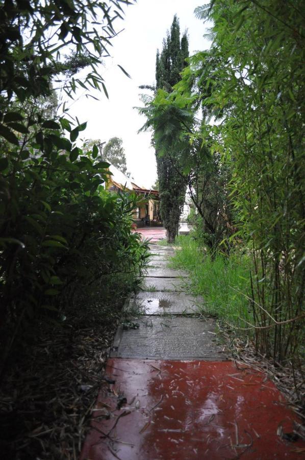 Posada Morelos 萨卡特卡斯 外观 照片
